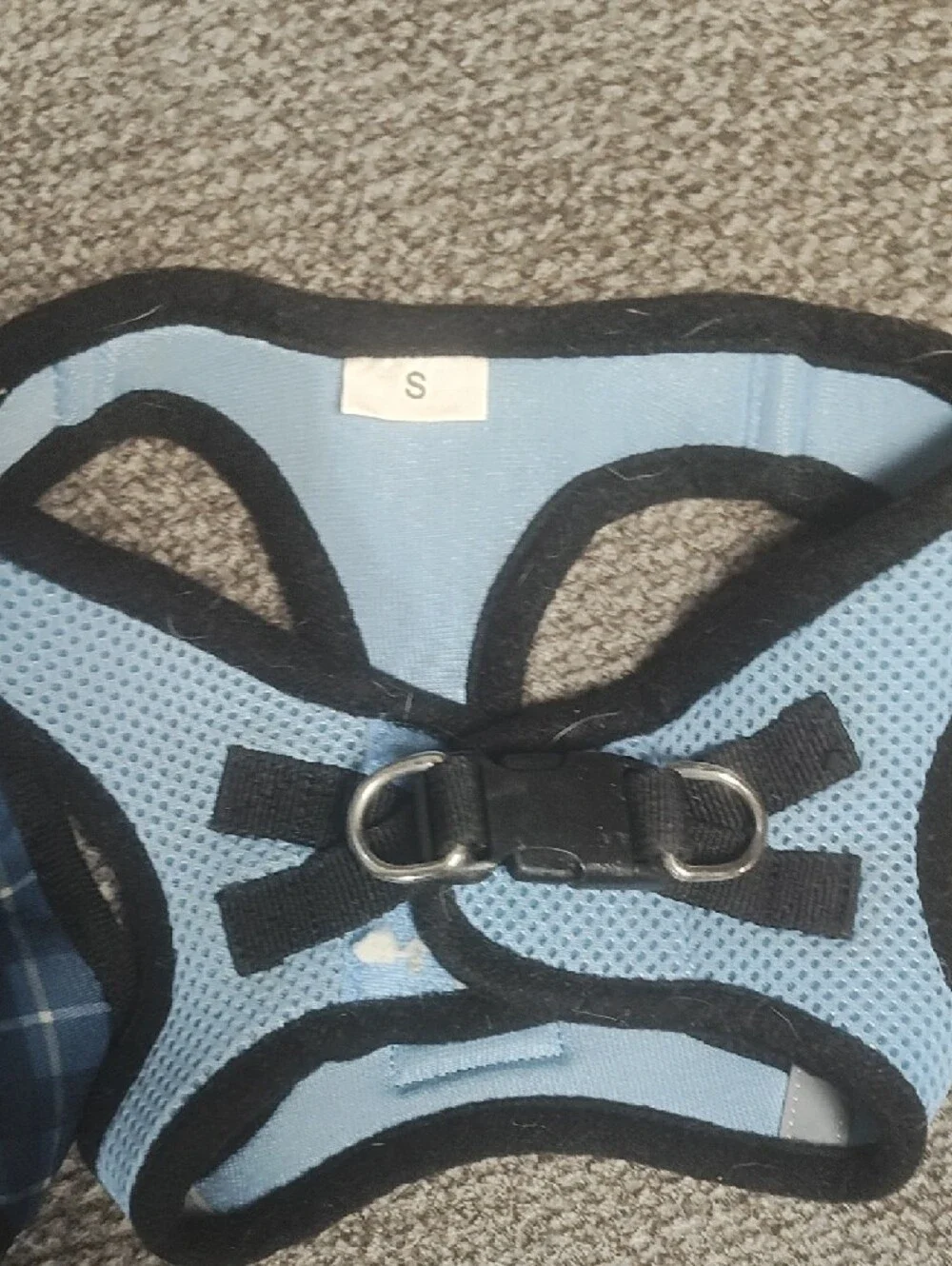 Assorted Small Dog Jackets & Harnesses - Blue, Red, Brown, Black